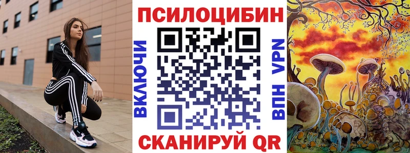 Галлюциногенные грибы Psilocybine cubensis Магнитогорск
