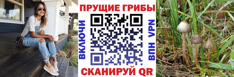 дарнет шоп  МЕГА маркетплейс  Галлюциногенные грибы MAGIC MUSHROOMS  Магнитогорск 