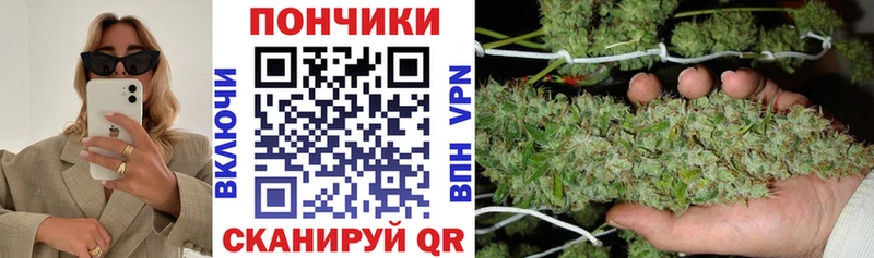 Шишки марихуана ГИДРОПОН Магнитогорск